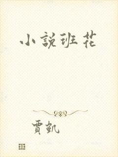 小说班花
