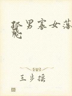 孤男寡女落瑛纷飞