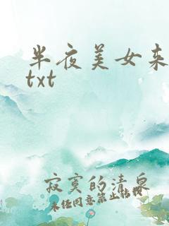 半夜美女来敲门txt