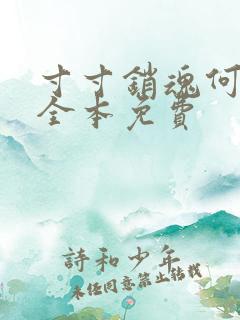 寸寸销魂何生祥全本免费