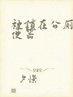 被锁在公厕当坐便器