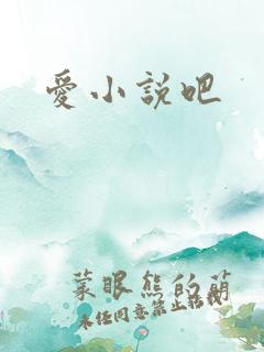 爱小说吧