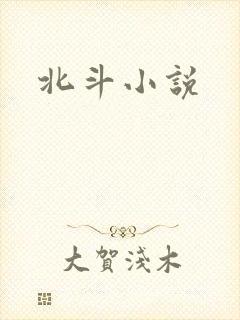 北斗小说