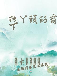 拽丫头的霸道殿下