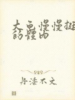 大龟慢慢挺进我的体内