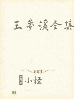 王梦溪全集