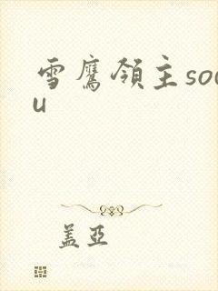 雪鹰领主sodu