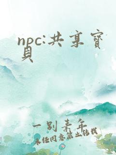 npc:共享宝贝