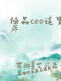 极品ceo这里疼
