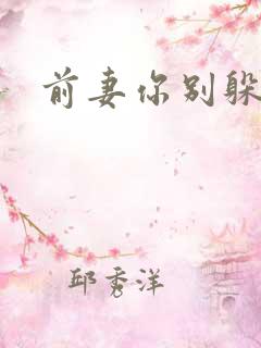 前妻你别躲