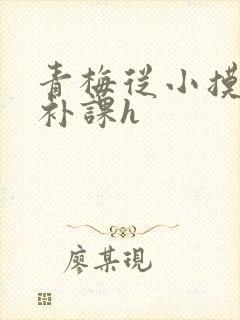 青梅从小摸到大补课h