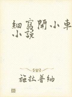 细写开小车车的小说