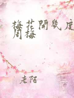 梅花开几度老张周梅