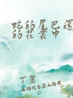 蛇的尾巴还在我的花丛中