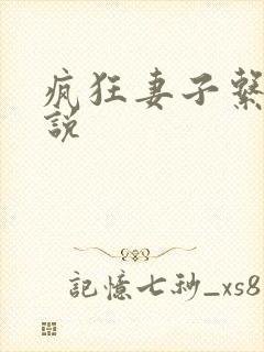 疯狂妻子系列小说