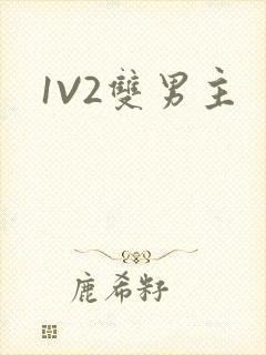 1V2双男主