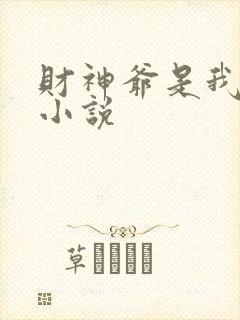 财神爷是我老板小说