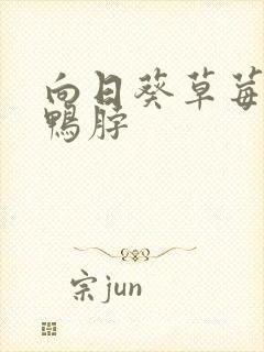 向日葵草莓丝瓜鸭脖