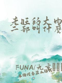 老旺的大肉蟒第二部叫什么小说