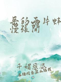 岳的两片蚌肉慢慢张开