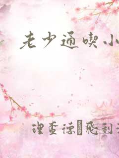 老少通吃小说