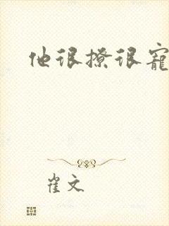 他很撩很宠全文