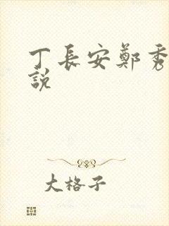 丁长安郑秀兰小说