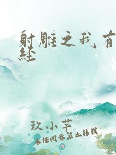 射雕之我有太玄经