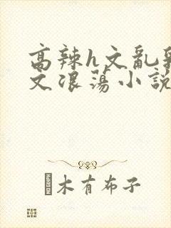 高辣h文乱乳h文浪荡小说苏柔