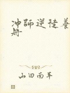 冲师逆徒养成手册