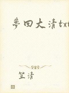 梦回大清txt