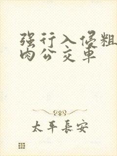 强行入侵粗暴h肉公交车