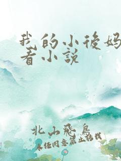 我的小后妈免费看小说
