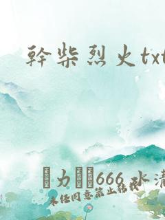 干柴烈火txt