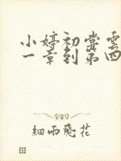 小婷初尝云雨第一章到第四章