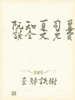 阮知夏司暮寒小说全文免费无弹窗