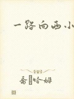 一路向西小说