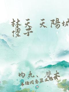 林天 天阳城 傻子