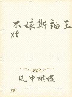 不嫁断袖王爷txt