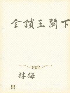 金锁玉关下载