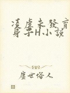 凌虐未发育的小身子H小说