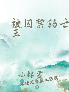 被囚禁的亡国公主