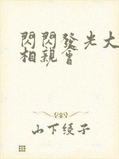 闪闪发光大团圆相亲会