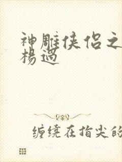 神雕侠侣之我是杨过