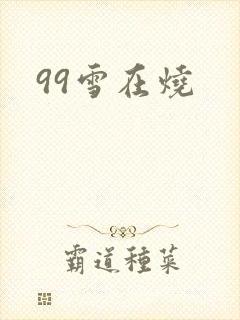 99雪在烧