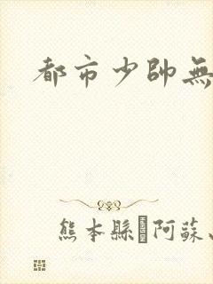 都市少帅无弹窗