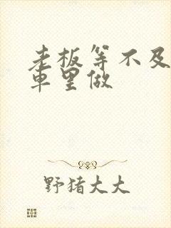 老板等不及了在车里做