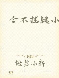 合不拢腿小说