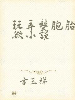 玩弄双胞胎的肉欲小说