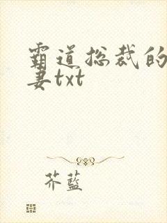 霸道总裁的挂名妻txt